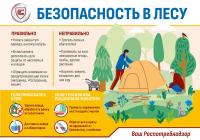 БЕЗОПАСНОСТЬ В ЛЕСУ