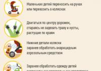 ОСТОРОЖНО КЛЕЩИ ПРОГУЛКА С ДЕТЬМИ